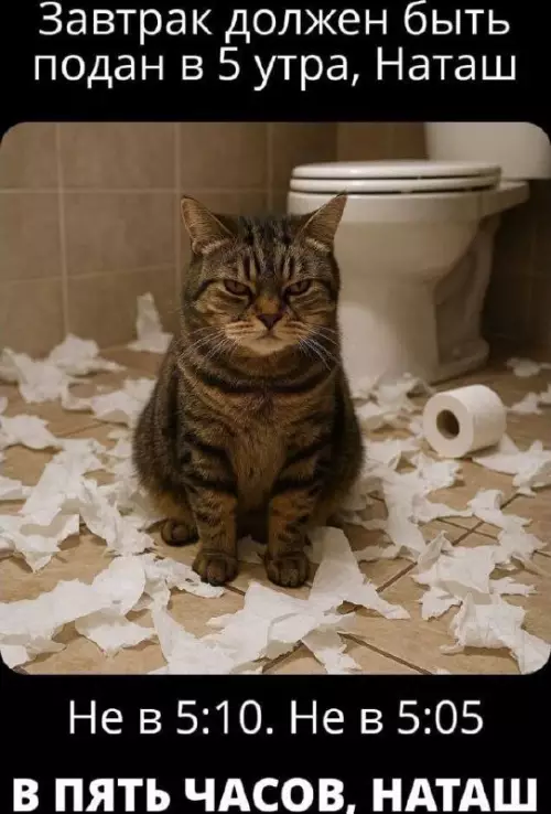 картинка a58bd2a57e 20832857