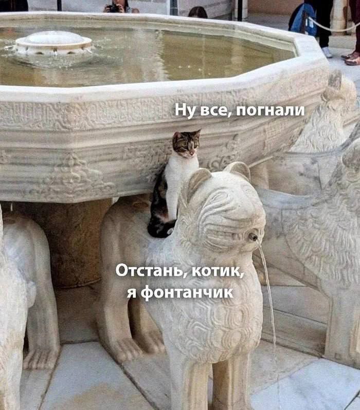 картинка a798c2012a 0000000