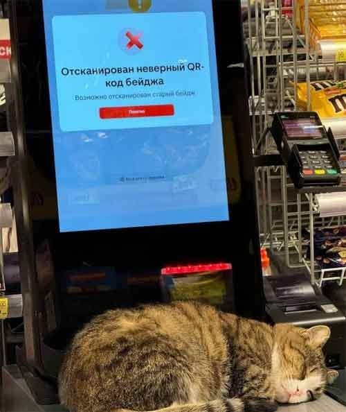 картинка a88d98e820 jekskljuziv otbornye prikoly v memah i kartinkah tolko dlja vas 23