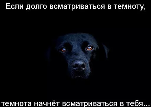 Пятница! Наконец-то! пятница, позитиве, друзья, сделать, тщательно, отбирали, каждый, чтобы, прошла, максимальном, Забудьте, дедлайнах, совещаниях, нужно, Сегодня, вчера, взорвать, смеха, Листайте, делитесь