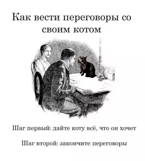 картинка a95d846a7c 20832856