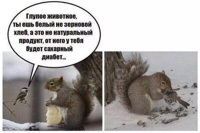 картинка aa34469dfa vnimanie vzroslye gotovy k porcii otbornogo chernogo jumora 10