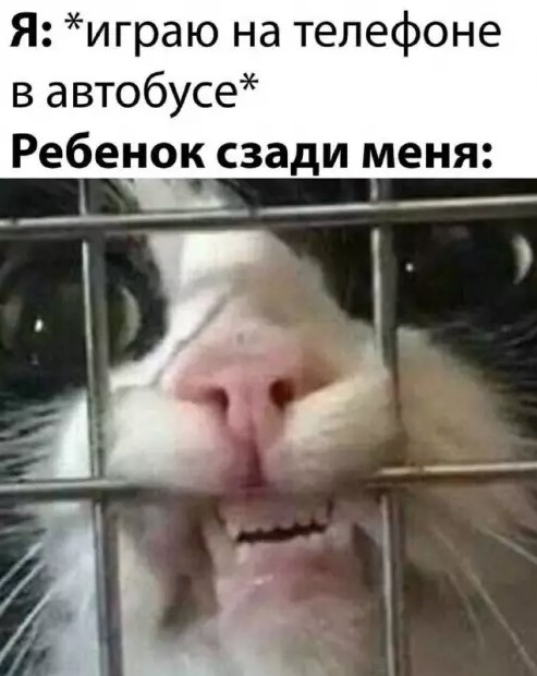 картинка ab3ef4c14e granicy dozvolennogo my ih ne znaem 9