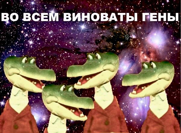 картинка ab3f6348fb 20814174