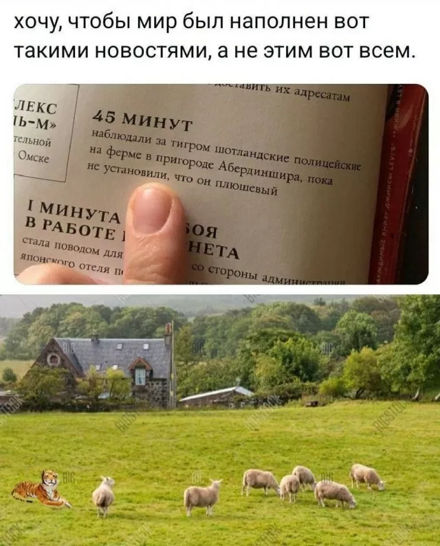 картинка acd0ee7747 20773422