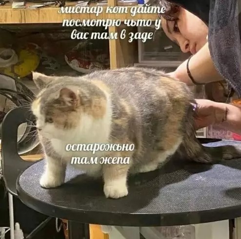 картинка ad949b11f6 hotite dobavit perchinki v svoj den vam sjuda 7