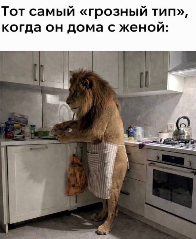 Маленькая пятница – время для смеха и отдыха! 🥳 Середина, приколов, выходные, улыбайтесь, Смотрите, делах, забыть, расслабиться, помогут, которые, свежих, недели, самых, сборник, новый, Представляем, исправить, знаем, утомительной, может