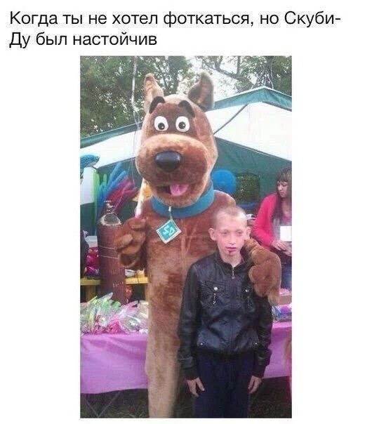 картинка ae6c91d4c0 20789196