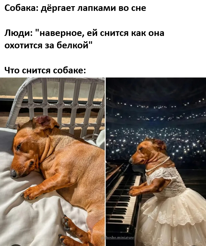 картинка b0f4f2ea01 00000