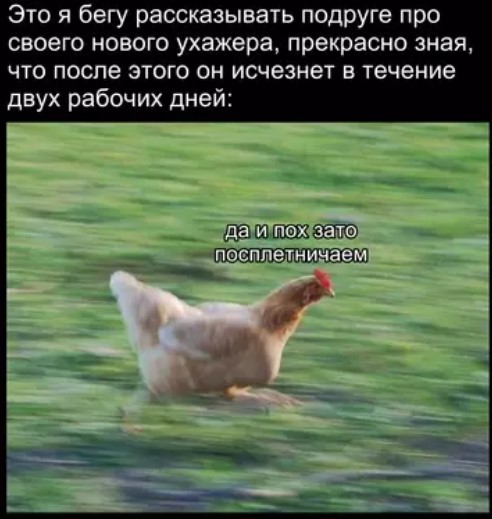 картинка b1e162c5c9 20848430