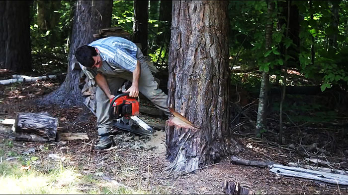 картинка b3dc7dd271 bystraja zatochka cepi benzopily bolgarkoj 10