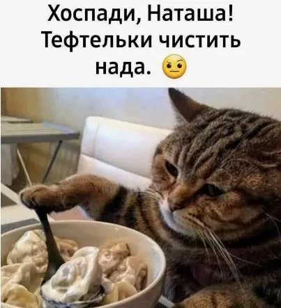 картинка b41faa9966 1772552012