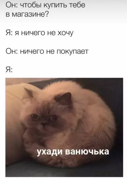 картинка b5e19a234b 20848432