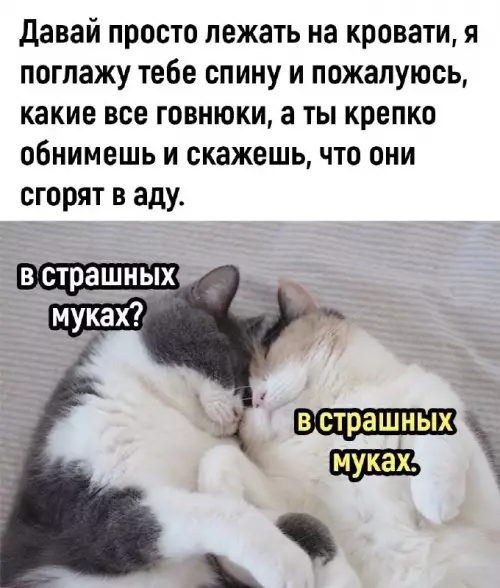 картинка b6720c195b nakonec to pjatnica grandioznyj sbornik prikolov 3