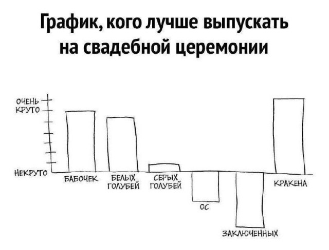 картинка b7a46bd326 20814168