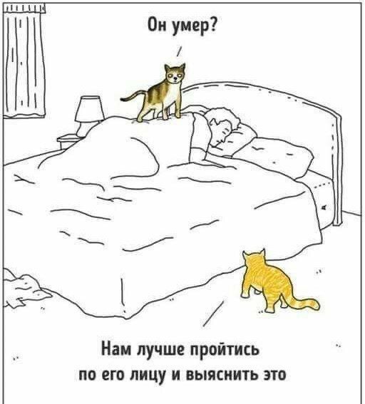 картинка bdd465bc39 nakonec to pjatnica grandioznyj sbornik prikolov 2