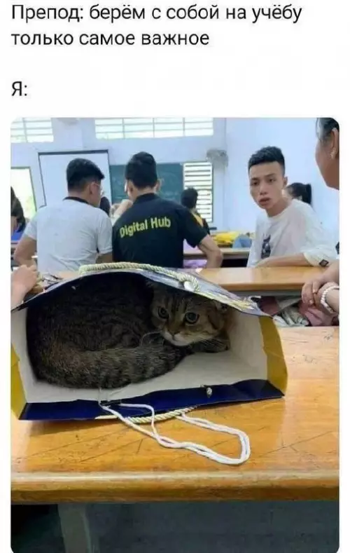 картинка be3041d279 20832820