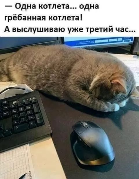 Пятница! Наконец-то! пятница, позитиве, друзья, сделать, тщательно, отбирали, каждый, чтобы, прошла, максимальном, Забудьте, дедлайнах, совещаниях, нужно, Сегодня, вчера, взорвать, смеха, Листайте, делитесь