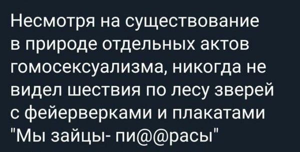 картинка c0e619d08f 20831674