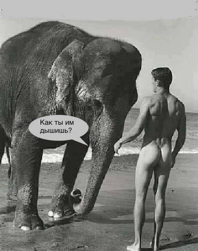 картинка c268b5a3b5 20833027