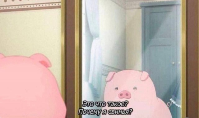 картинка c6a0648e8e 20807476