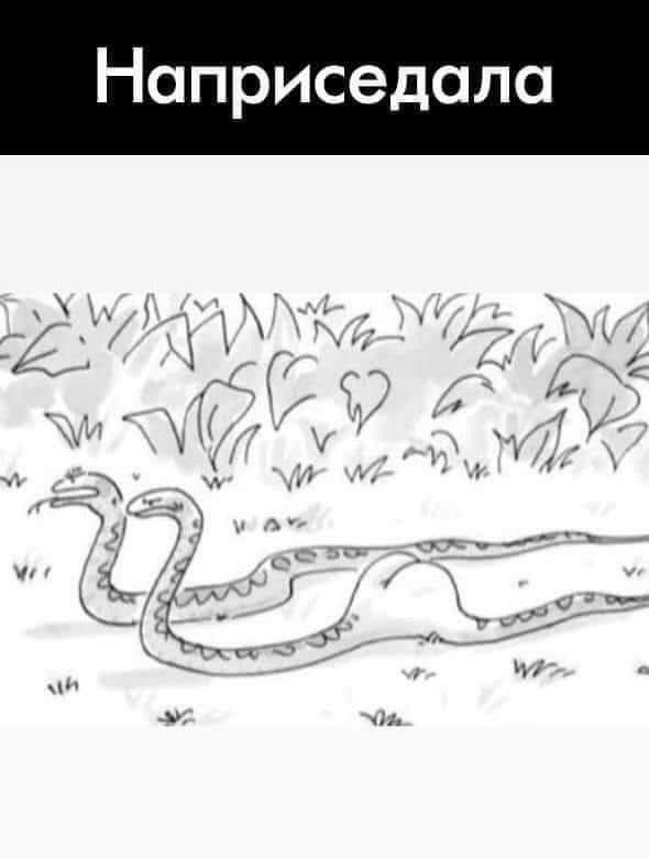 Утренний заряд позитива: свежая порция смешных мемов