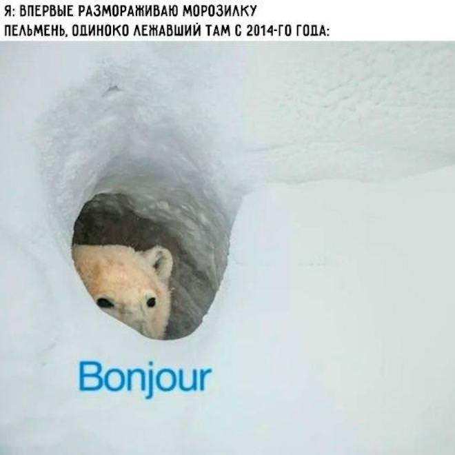 Новый сборник приколов к маленькой пятнице! 🤩 Неделя, горячие, близко, Выходные, недели, середины, приколы, шутки, самые, разгаре, Ловите, юмора, свежего, порцией, будни, разбавить, значит, держитесь