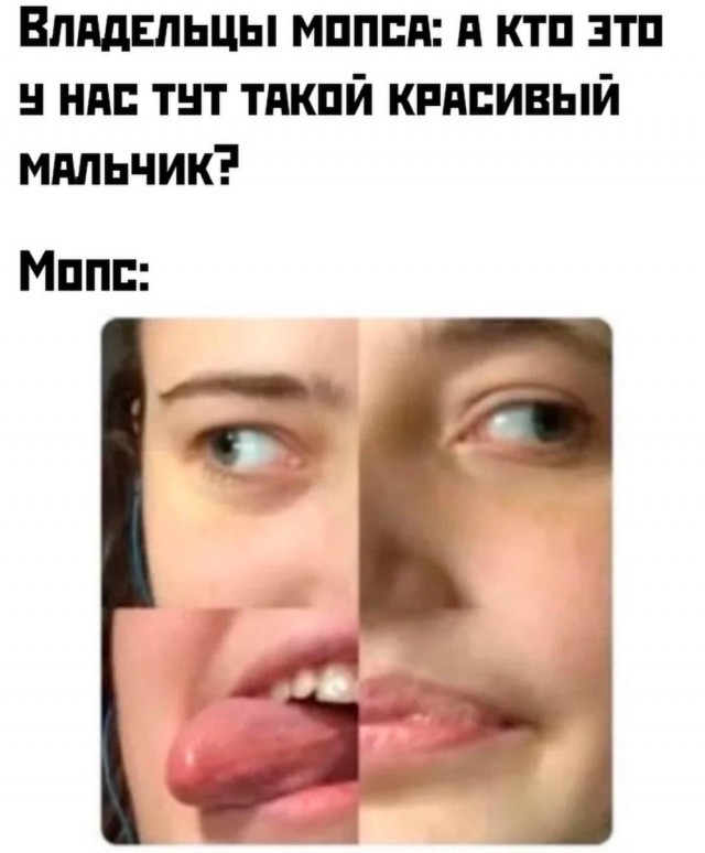 Маленькая пятница – время для смеха и отдыха! 🥳 Середина, приколов, выходные, улыбайтесь, Смотрите, делах, забыть, расслабиться, помогут, которые, свежих, недели, самых, сборник, новый, Представляем, исправить, знаем, утомительной, может