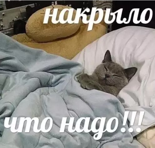 картинка c8ffe4eabb utro nachinaetsja s ulybki luchshie memy chtoby zarjaditsja pozitivom 13