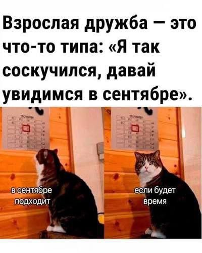 Маленькая пятница – время для смеха и отдыха! 🥳 Середина, приколов, выходные, улыбайтесь, Смотрите, делах, забыть, расслабиться, помогут, которые, свежих, недели, самых, сборник, новый, Представляем, исправить, знаем, утомительной, может