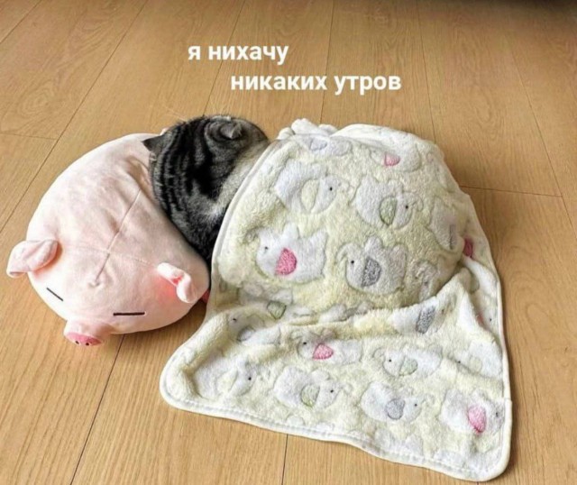 Маленькая пятница: зарядка позитивом в середине недели