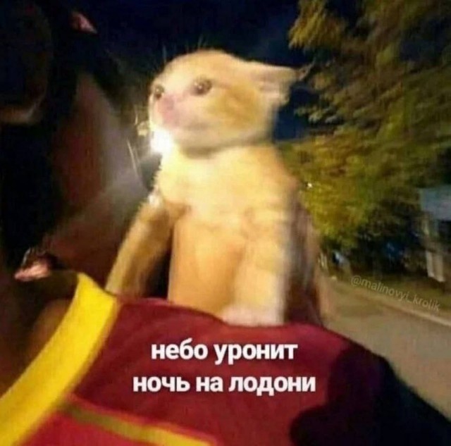 Устал от скуки? Хочется улыбнуться? Тогда тебе сюда! собрали, грусть, делись, смейся, Листай, время, любое, работают, шутки, хандру, Забудь, огромную, настроение, поднимут, точно, которые, мемов, уморительных, свежих, самых