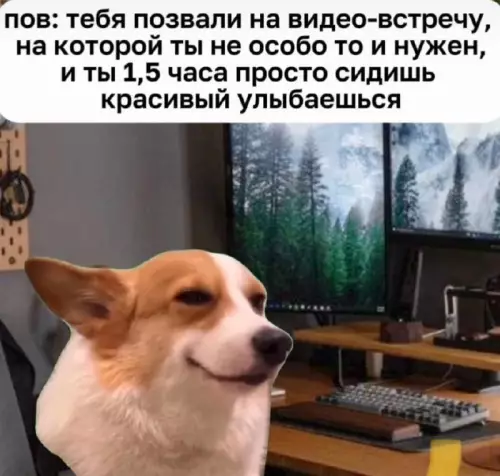 картинка cdf403eec1 20832824