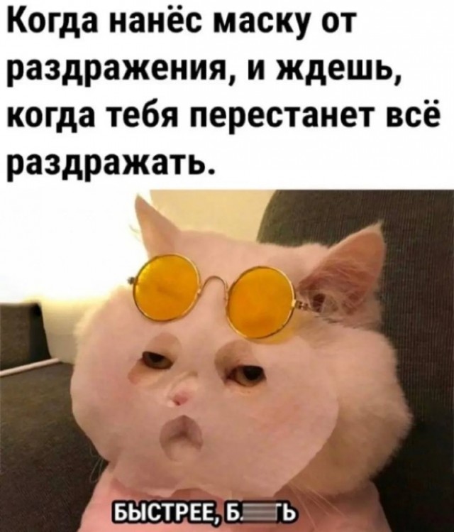картинка d0c3fba7e0 20828895