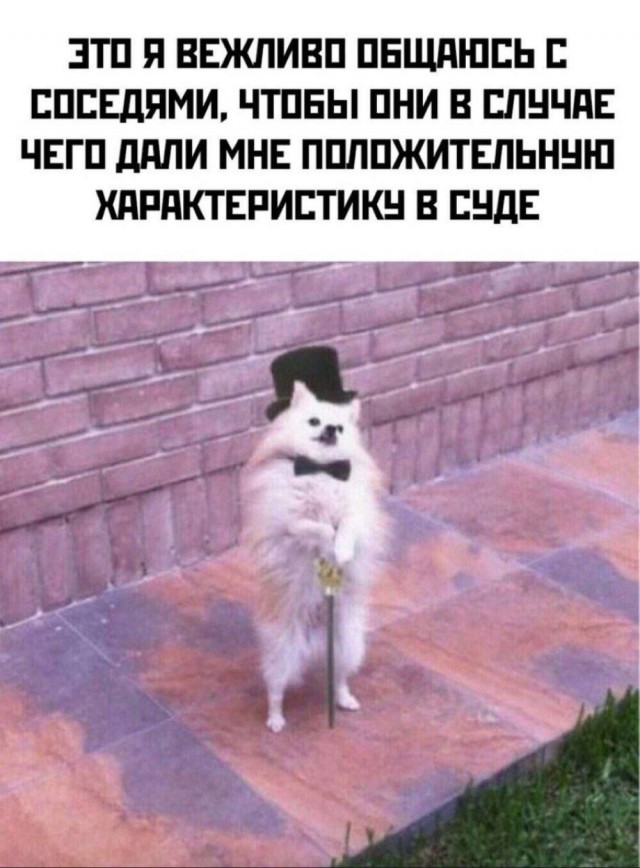 Маленькая пятница – время для смеха и отдыха! 🥳 Середина, приколов, выходные, улыбайтесь, Смотрите, делах, забыть, расслабиться, помогут, которые, свежих, недели, самых, сборник, новый, Представляем, исправить, знаем, утомительной, может