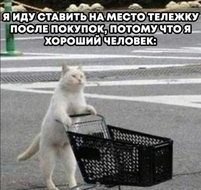 картинка d36b7c1501 20792153