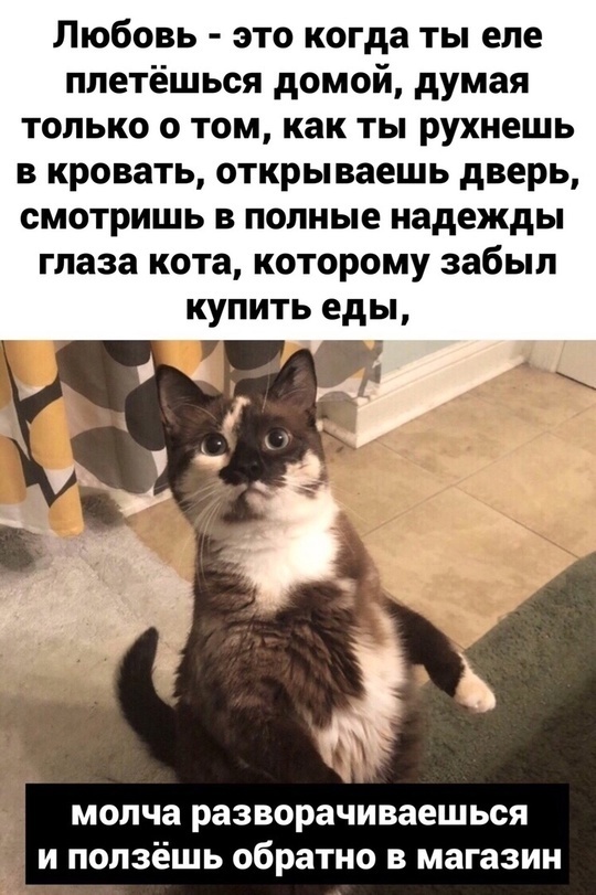 картинка d901b12443 00000