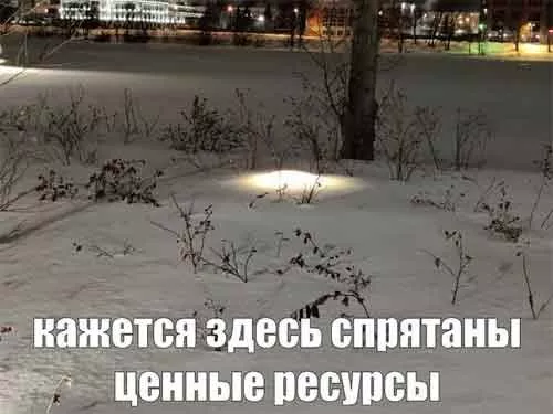 картинка d92440ccca bolshoj sbornik svezhajshih prikolov na malenkuju pjatnicu 11