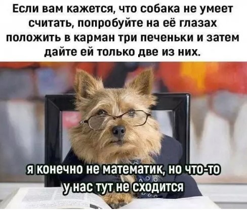 картинка dc3dacaf3c granicy dozvolennogo my ih ne znaem 13