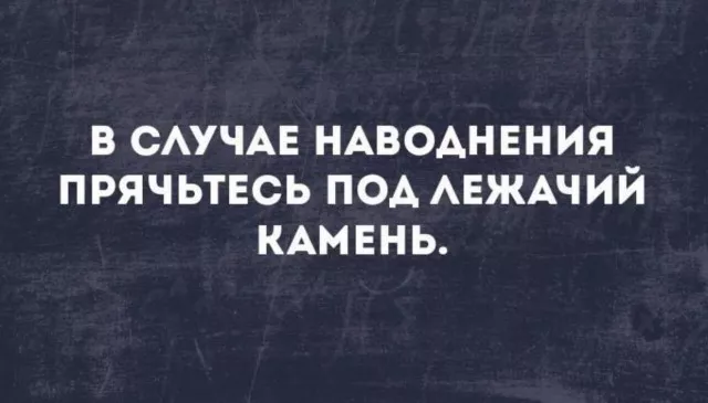 картинка dccbd00dc7 20759938