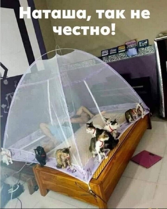 картинка de269b4752 20791302