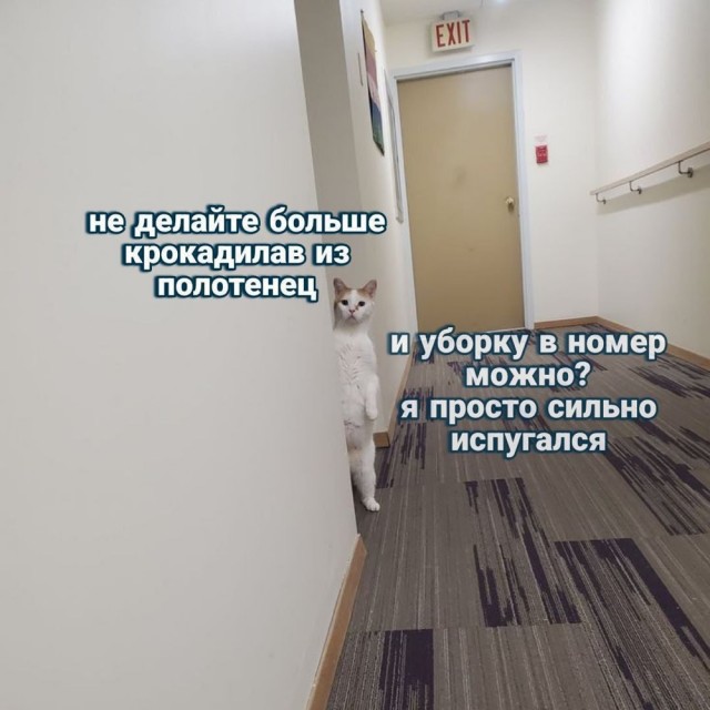 Маленькая пятница – время для смеха и отдыха! 🥳 Середина, приколов, выходные, улыбайтесь, Смотрите, делах, забыть, расслабиться, помогут, которые, свежих, недели, самых, сборник, новый, Представляем, исправить, знаем, утомительной, может