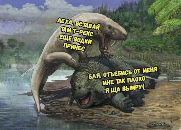 картинка e0e203d7a5 20807408