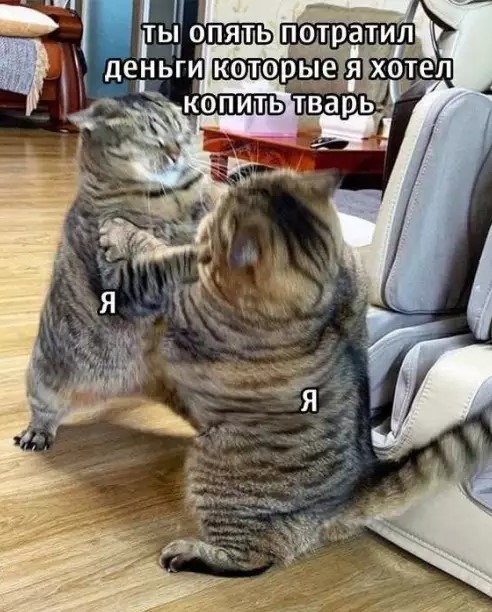 картинка e2f3c7b872 granicy dozvolennogo my ih ne znaem 15