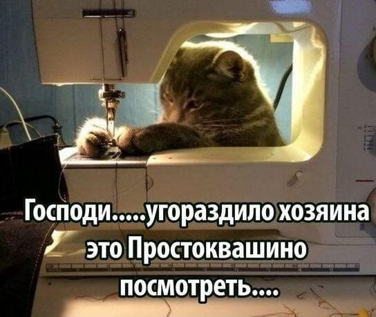 картинка e35d6a6ece 20794916