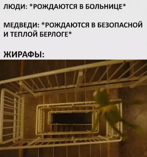 Устал от скуки? Хочется улыбнуться? Тогда тебе сюда! собрали, грусть, делись, смейся, Листай, время, любое, работают, шутки, хандру, Забудь, огромную, настроение, поднимут, точно, которые, мемов, уморительных, свежих, самых