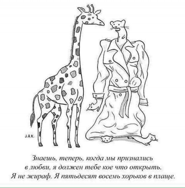 картинка e6511ab165 20814145