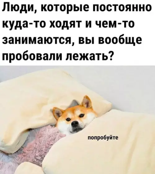 Устал от скуки? Хочется улыбнуться? Тогда тебе сюда! собрали, грусть, делись, смейся, Листай, время, любое, работают, шутки, хандру, Забудь, огромную, настроение, поднимут, точно, которые, мемов, уморительных, свежих, самых