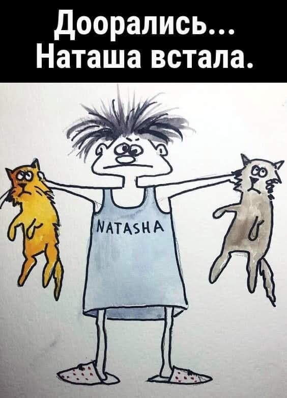 картинка e803cf0c6b 20837820