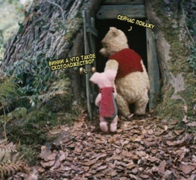 Утренний заряд позитива: свежая порция смешных мемов